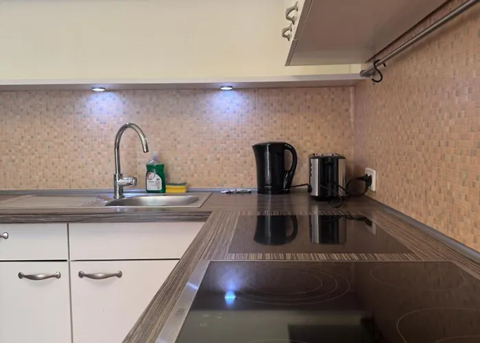 Cozy Big Old Town Apartament